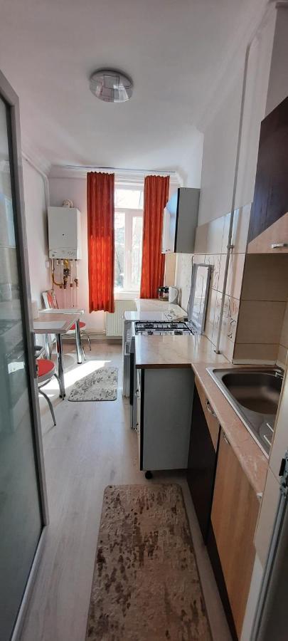Apartament La Denis Birlad Exterior photo