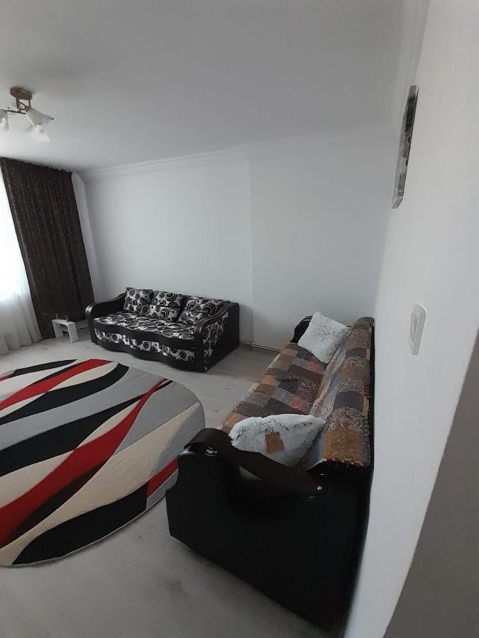Apartament La Denis Birlad Exterior photo
